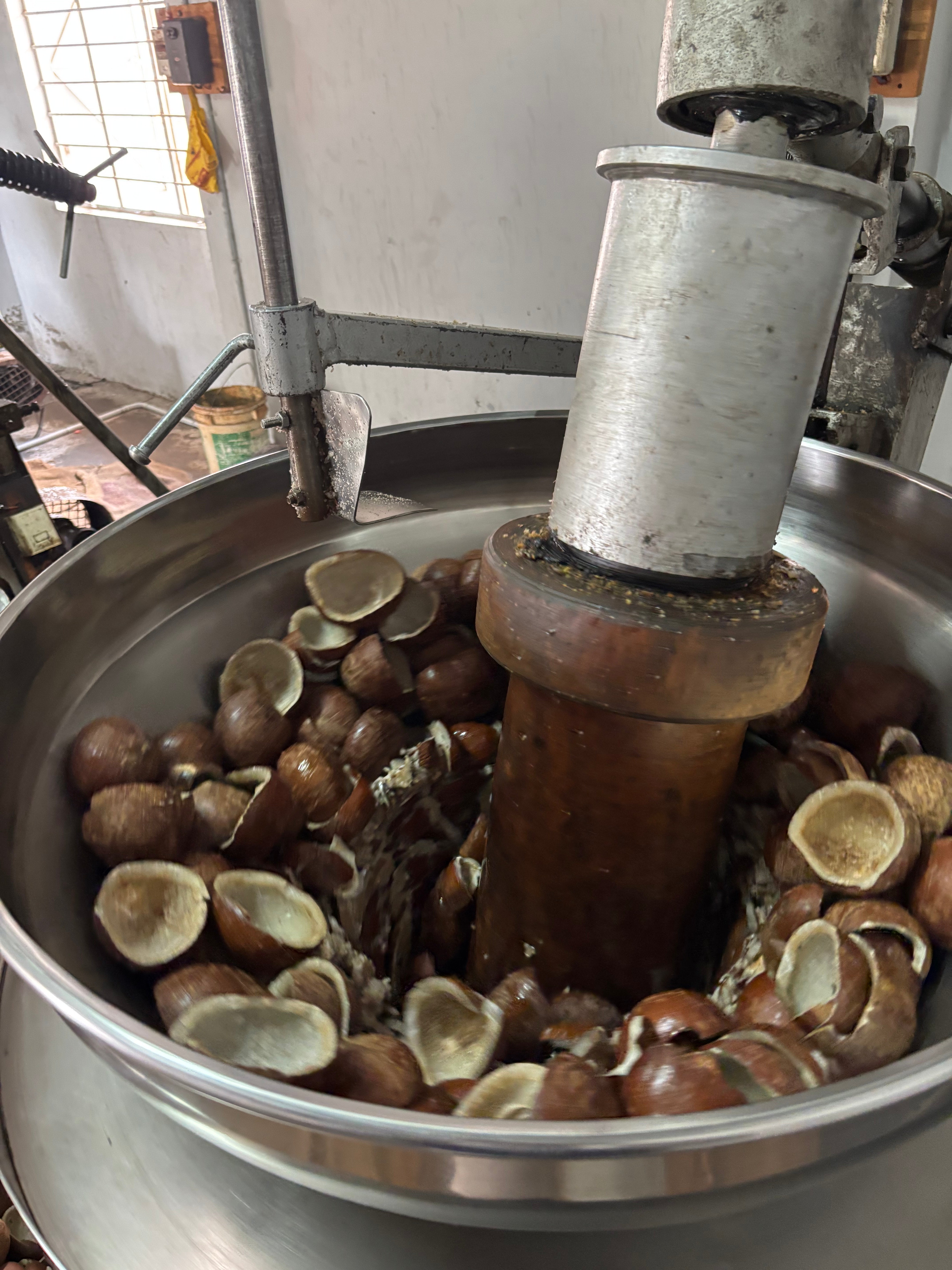 The Traditional Art of Cold-Pressed Coconut Oil